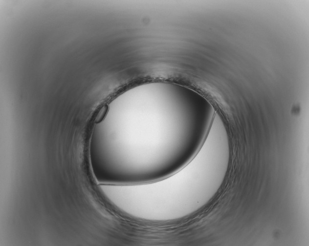 X0000095130496200712071011