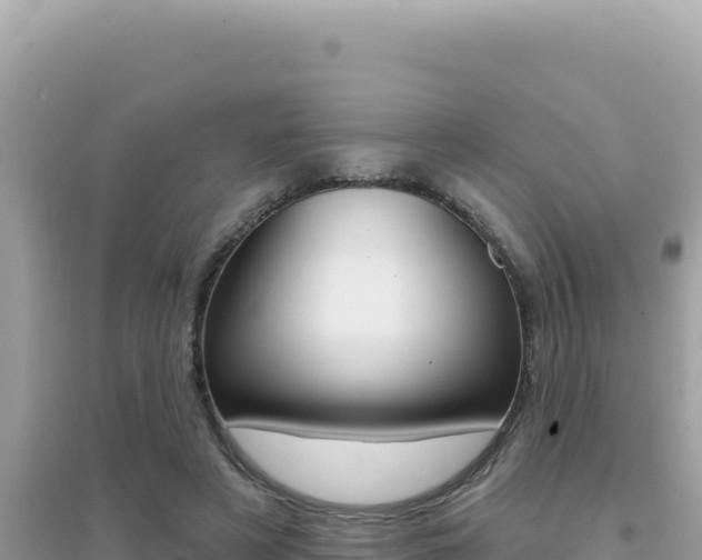 X0000095130497200712071011