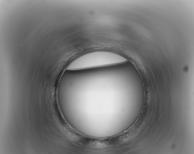 X0000095130498200712071011