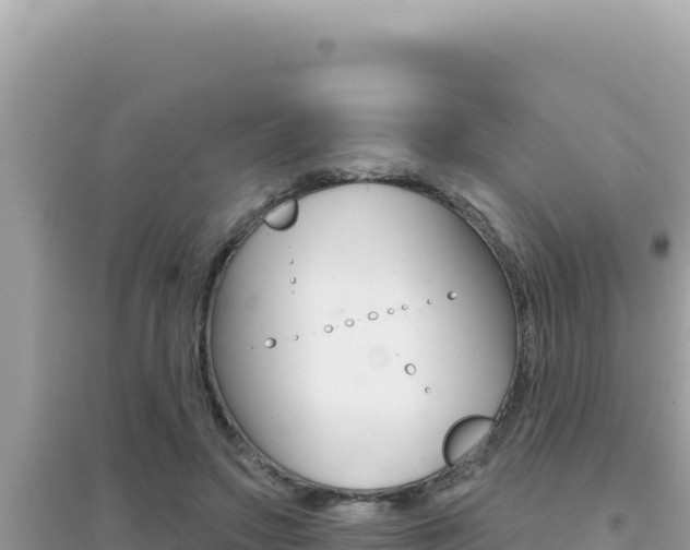 X0000095130499200712071011