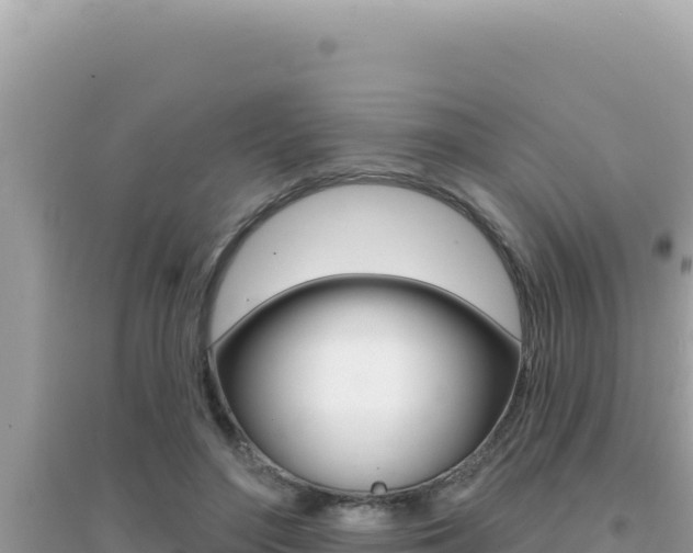X0000095130500200712071011