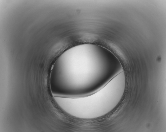 X0000095130501200712071011