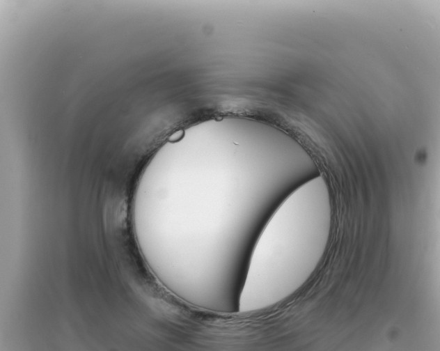 X0000095130502200712071011