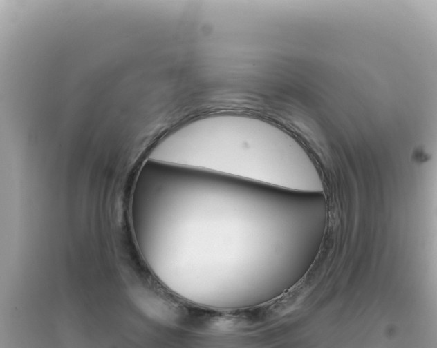 X0000095130504200712071011