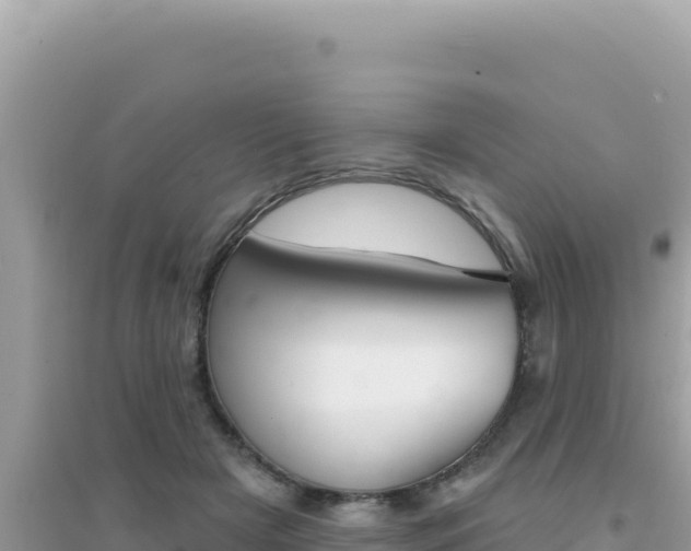 X0000095130505200712071011