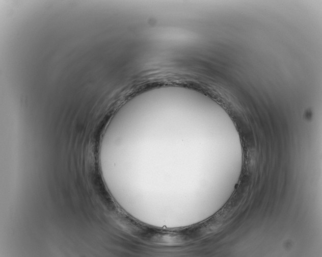 X0000095130506200712071011