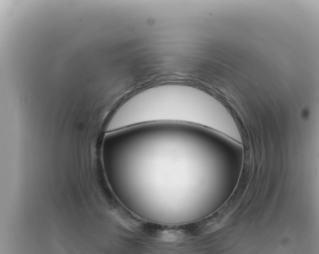 X0000095130508200712071011