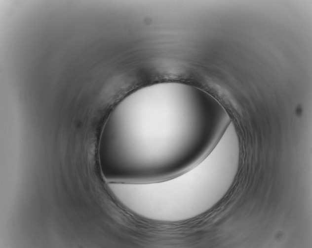 X0000095130509200712071011