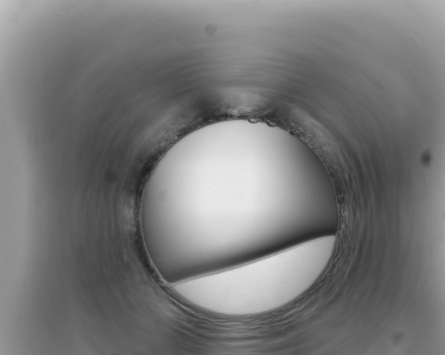 X0000095130510200712071011