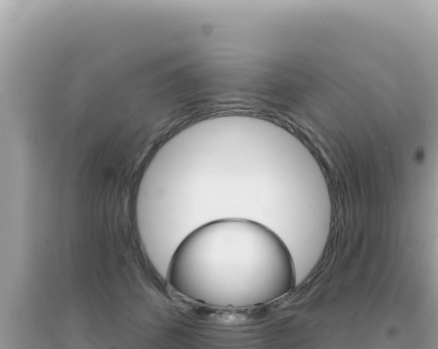 X0000095130512200712071011