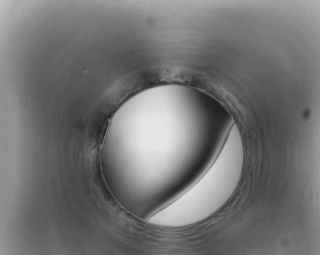 X0000095130513200712071011