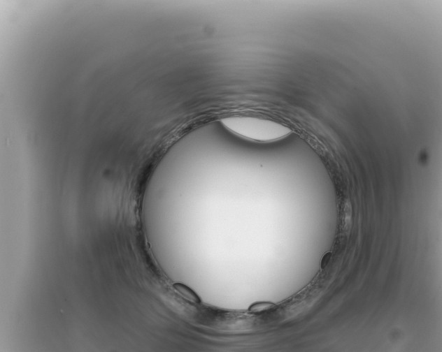 X0000095130514200712071011
