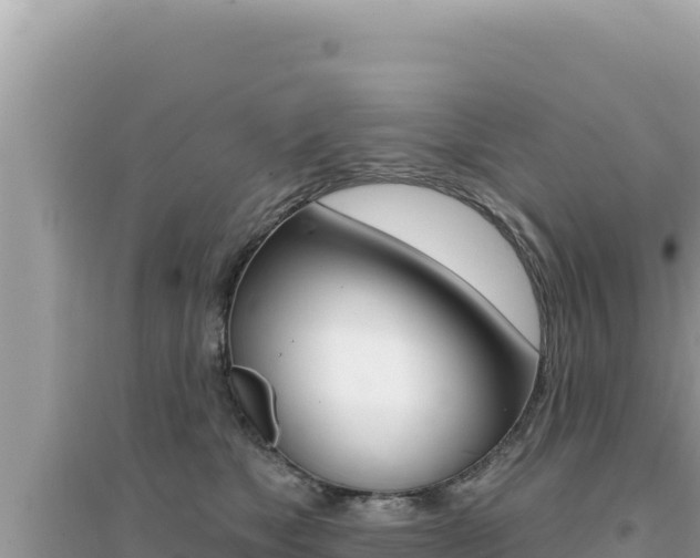X0000095130517200712071011