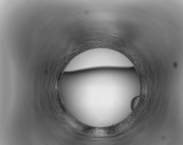 X0000095130518200712071011