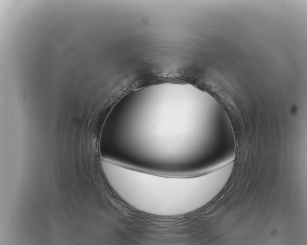 X0000095130521200712071011