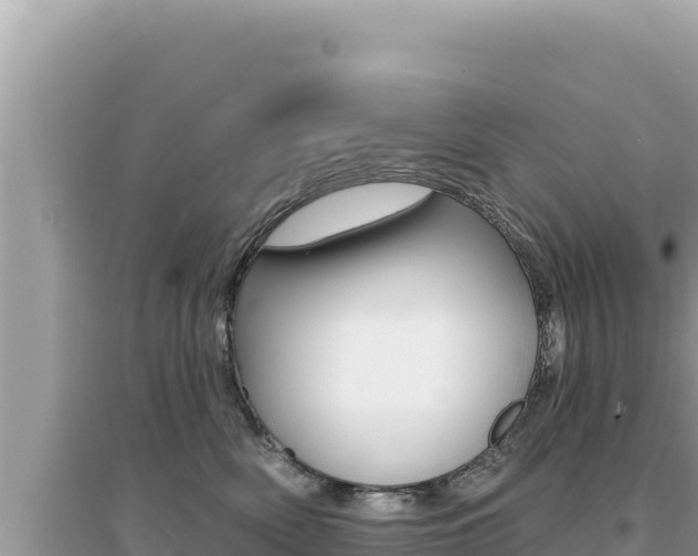 X0000095130522200712071011