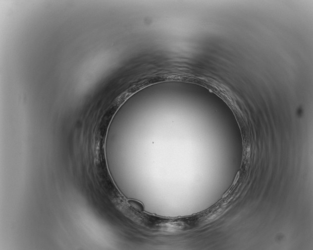 X0000095130525200712071011
