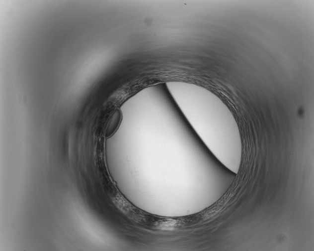 X0000095130527200712071011
