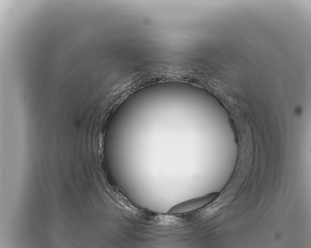 X0000095130528200712071011