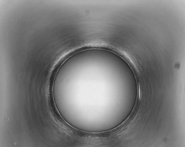 X0000095130531200712071010