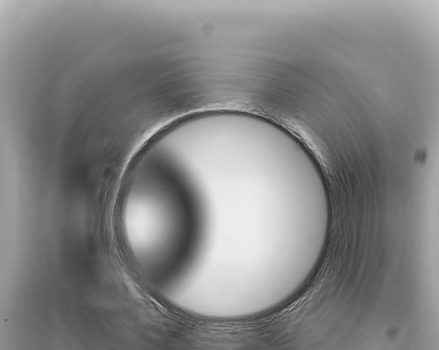 X0000095130532200712071010