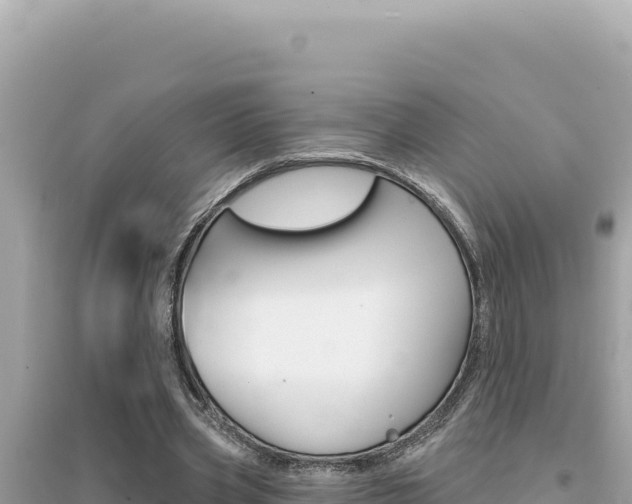 X0000095130533200712071010
