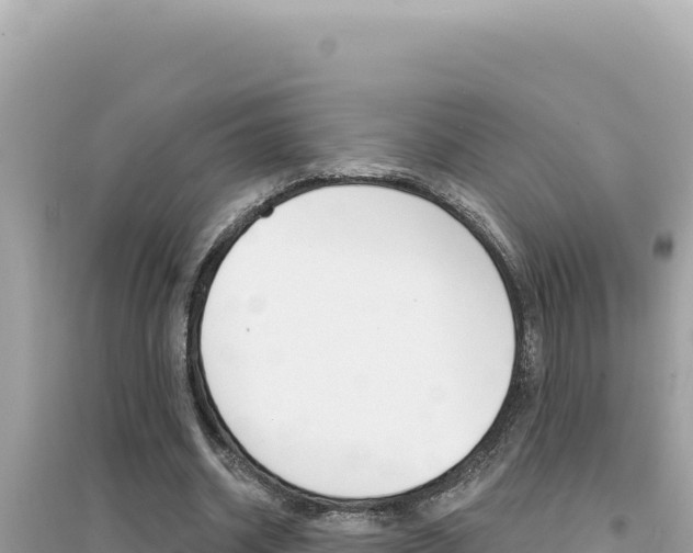 X0000095130534200712071010