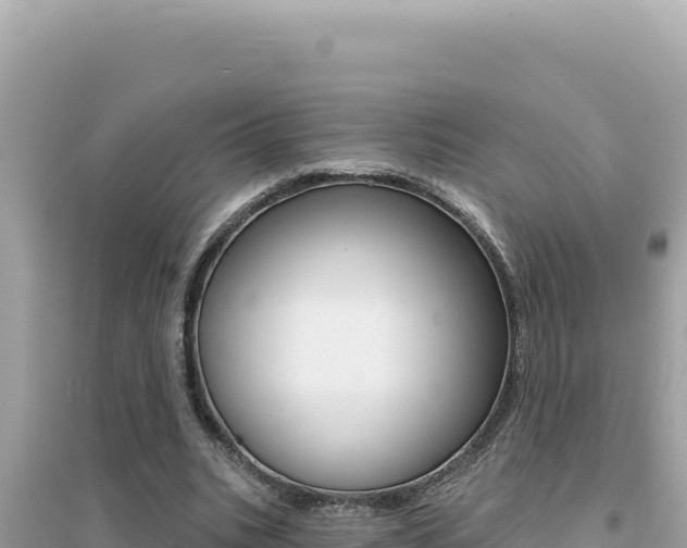 X0000095130535200712071010