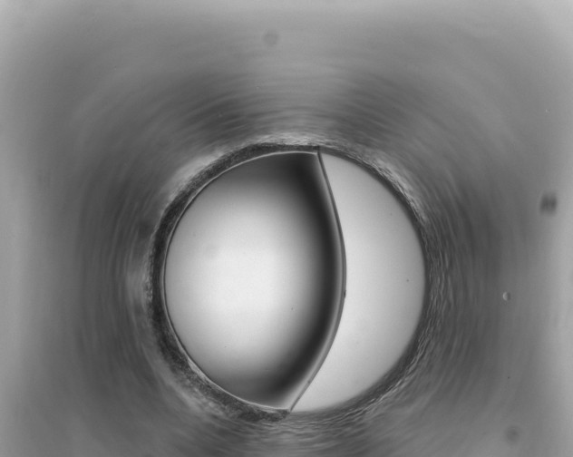 X0000095130536200712071010