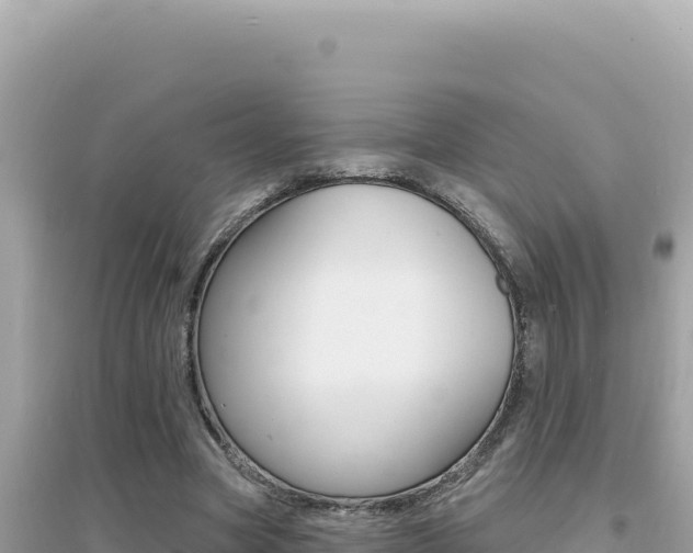 X0000095130537200712071010
