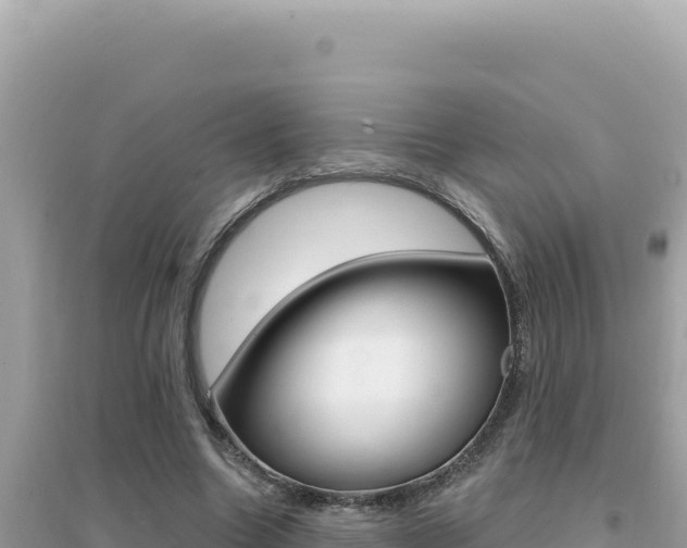 X0000095130538200712071010