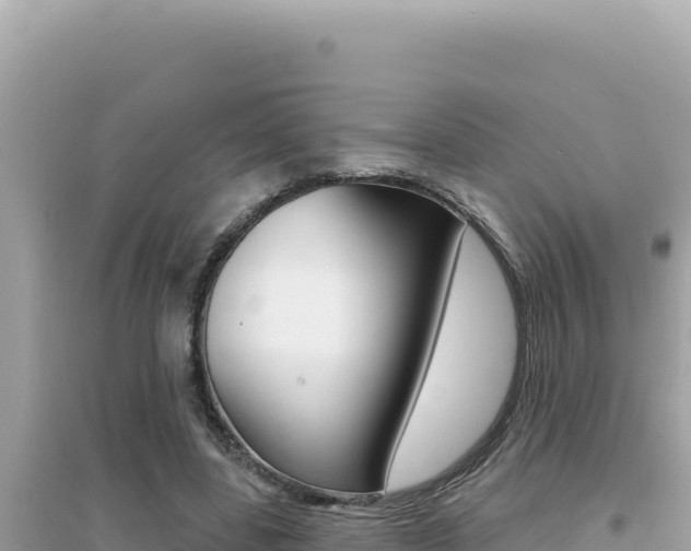 X0000095130539200712071010