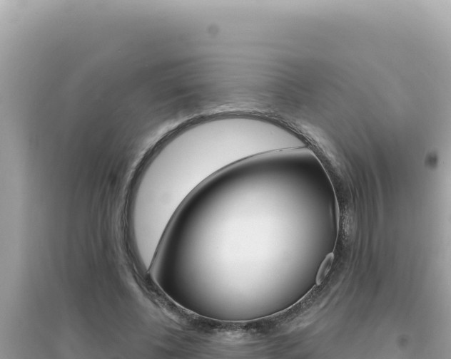 X0000095130540200712071010