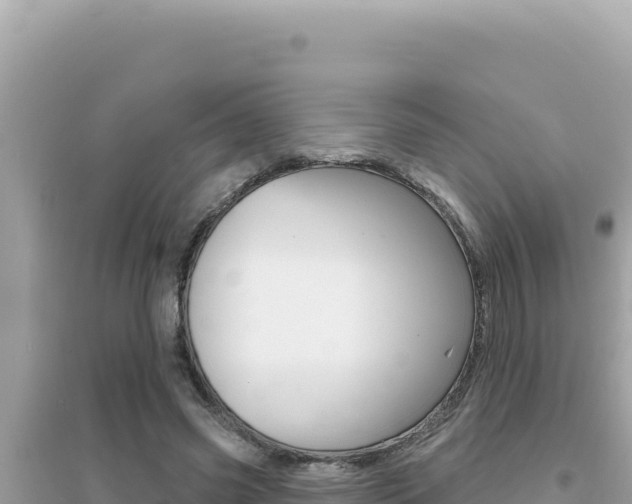 X0000095130541200712071010