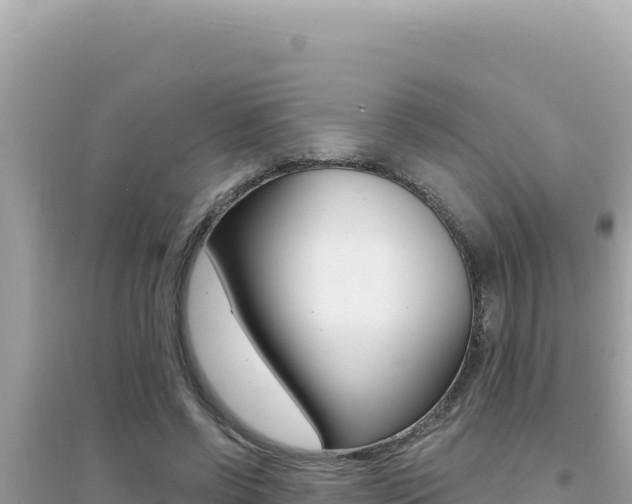 X0000095130542200712071010