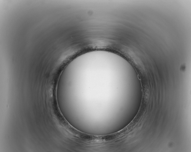 X0000095130543200712071010