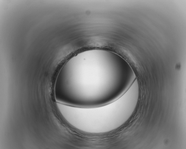 X0000095130544200712071010