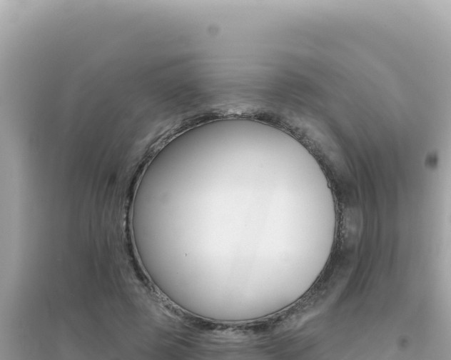 X0000095130545200712071010