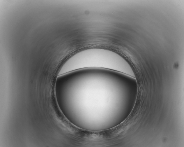 X0000095130546200712071010