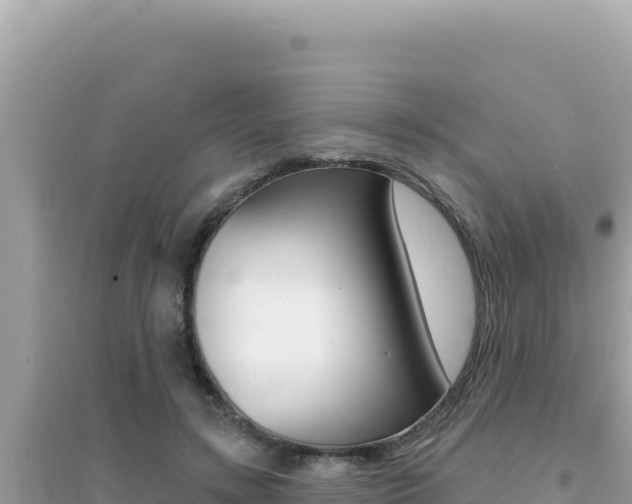 X0000095130547200712071010