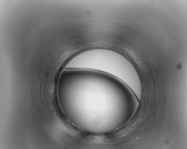 X0000095130548200712071010