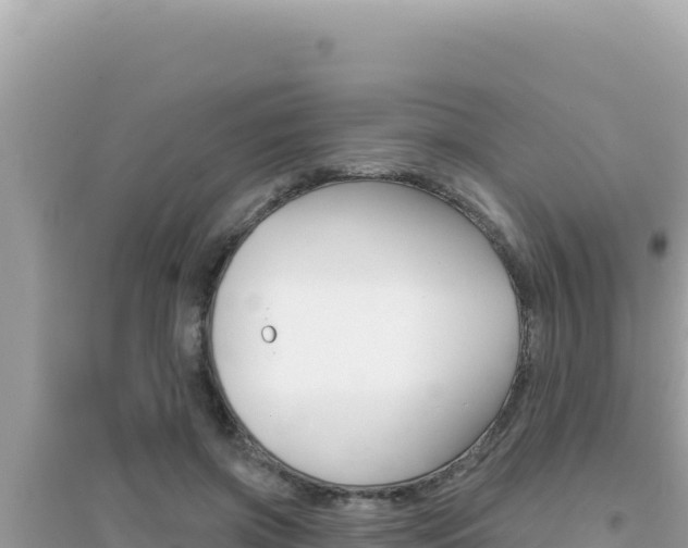 X0000095130549200712071010
