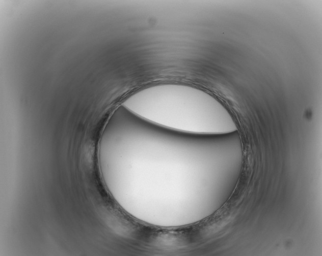 X0000095130550200712071010