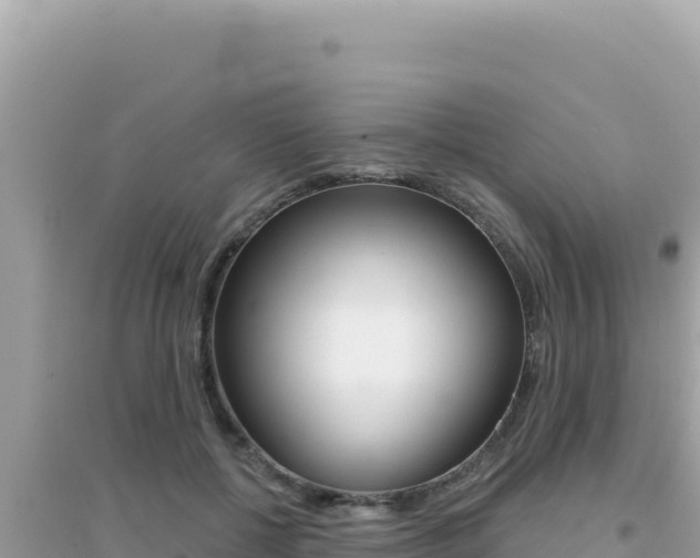 X0000095130552200712071010