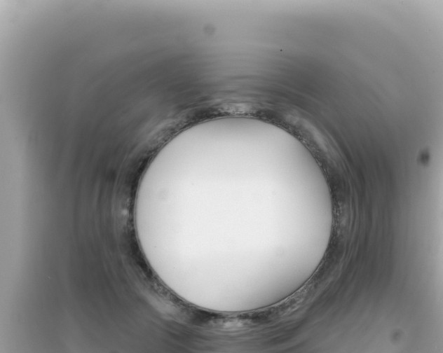 X0000095130553200712071010