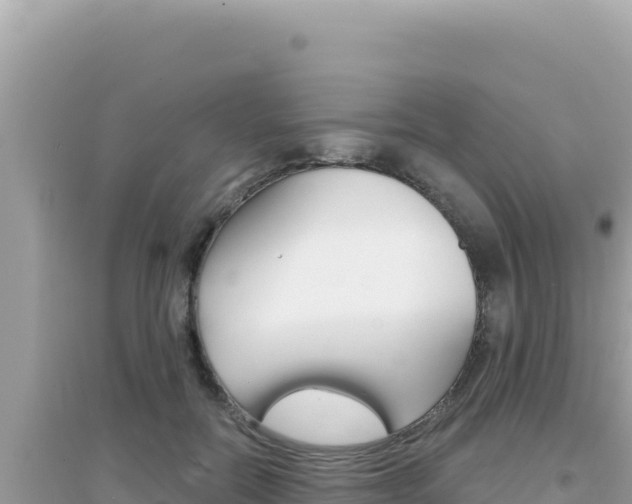 X0000095130554200712071010