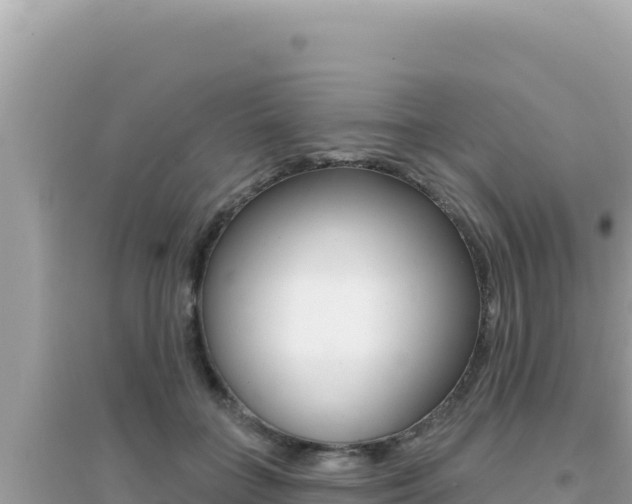 X0000095130555200712071010