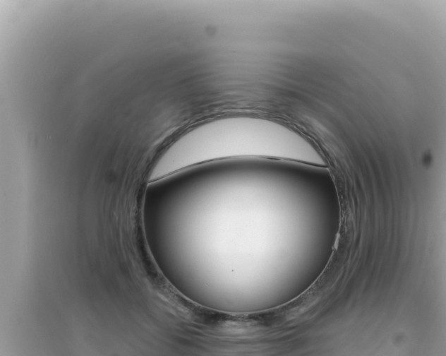 X0000095130556200712071010