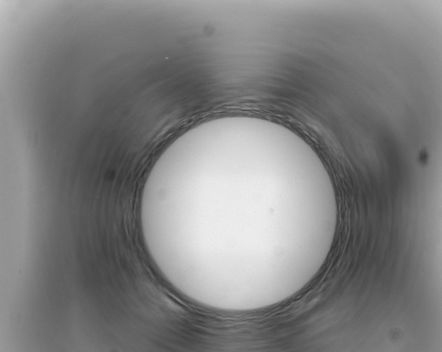 X0000095130558200712071010