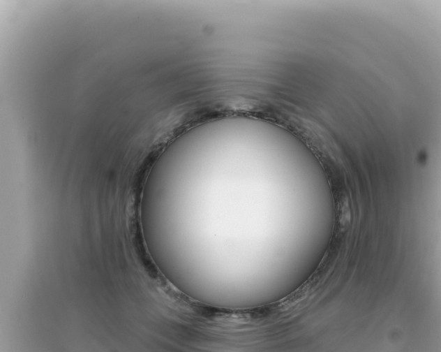 X0000095130559200712071010